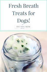 fresh breath treats holistic pet wellness