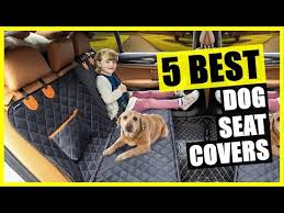 Best Dog Car Seat Cover For Back Seat