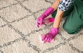 diy carpet cleaning tips and tricks