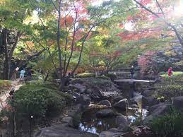 大田黒公園 ― 東京都杉並区・荻窪の庭園。 | 庭園情報メディア【おにわさん】