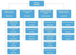 It Company Organizational Chart For It Company