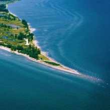 Turkey point has been a contributing force to the reclassification of the american crocodile from endangered to the less serious category of vulnerable.26. Ontario S Southwest Turkey Point Beach