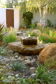 Backyard Rock Garden
