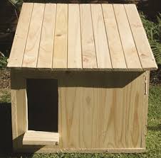 Barn Owl Box Garden Diy Outdoor And