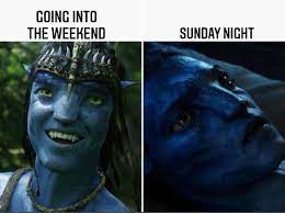 Relatable Na'vi memes just for you :) : r/Avatar