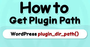 how to get plugin directory path in