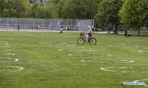To avoid unsafe crowding at toronto's trinity bellwoods park as the weather heats up, the city has spray painted circles on the park's east. Toronto Paints Circles On Grass At Trinity Bellwoods Park To Encourage People In Physical Distancing Global Times