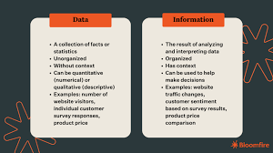 data vs information what s the