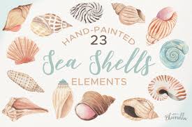 Sea Shells Collection 23 Watercolor Clipart Elements Ocean