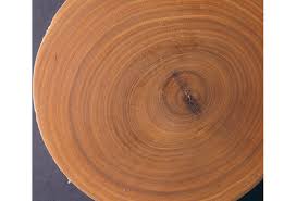 what is the world s hardest wood wood