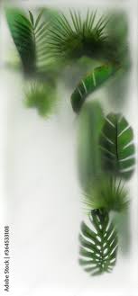 Plants Behind The Glass With Backlight