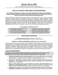 Resume Cv format for IT consulting Students