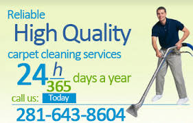 professional carpet cleaning house