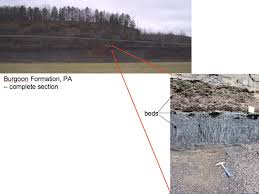 Geol342 Sedimentation And Stratigraphy