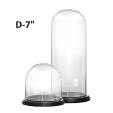 Glass Cloches And Glass Domes For