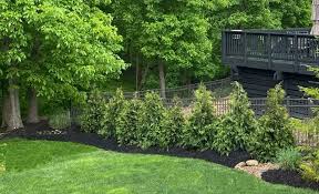 Fast Growing Privacy Trees Tips For