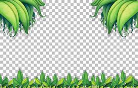 tropical leaves transpa background