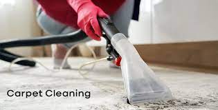 carpet rug cleaning washing services