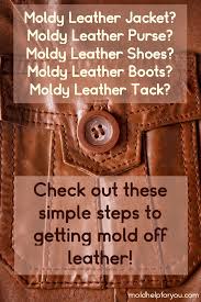 how to remove mold from leather the