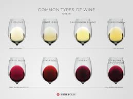 Common Types Of Wine Top Varieties To Know Wine Folly