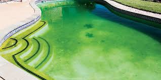 Stains And Water Discolouration Pool