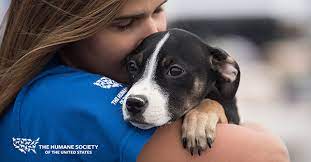 The Humane Society of the United States gambar png