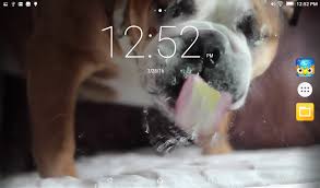 dog lick screen live wallpaper apk