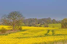 Paysage de printemps photo et image | paysages, paysages de campagne,  nature Images fotocommunity