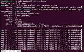 start docker container automatically