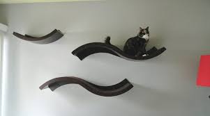 cat shelves ing guide kitty loaf