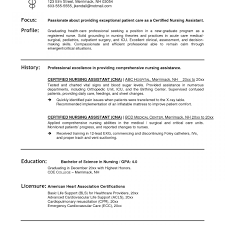 Professional Profile Resume Examples Nursing Summary Exeptional New