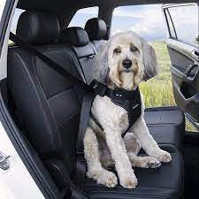 Car Dog Harnesses The Best Car Dog