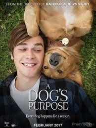 HD0650 - A Dog's Purpose 2017 - Mục đích sống của chú chó - THIẾT BỊ - ĐĨA  GỐC - ĐĨA BLURAY/4K GỐC (ORIGINAL) - Blu-ray Online