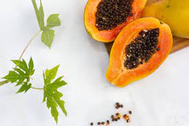 In order to ensure germination, you should plant several papaya seedlings in potted papaya. Papaya Plant Care Growing Guide