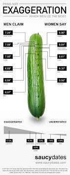 Average penis size and exaggeration!
