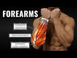 The Best Science Based Forearm Workout For Size And Strength