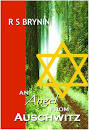 Image result for r.s.brynin, an angel from auschwitz