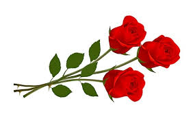 Get to Know Red Rose – 3 (Three) Red Roses Meaning | All Rose Color Meanings