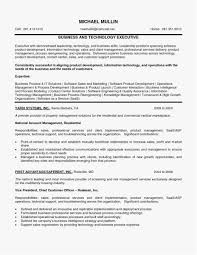 Receptionist Resume Sample New Sales Executive Resume New Template 9