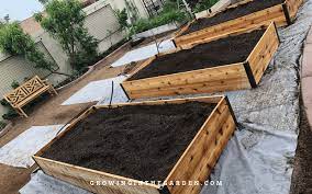 Raised Bed Garden Design Tips Growing