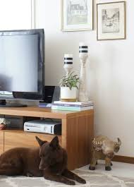 creative solutions for tv stand decor