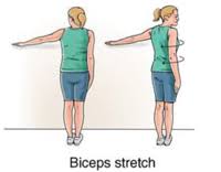 biceps tendonitis exercises new york