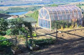How To Build A Greenhouse