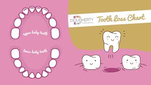 Tooth Loss Chart4 Dougherty Orthodontics