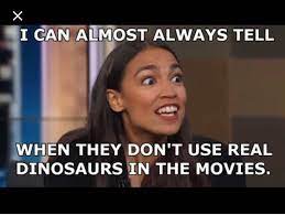 It's not just that i'm a woman of color running for office. Aoc Quotes Yes She Really Is That Stupid Dogtrainingobedienceschool Com
