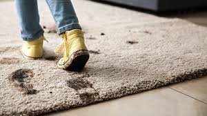 area rug cleaning service treatment