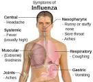 Influensa type b