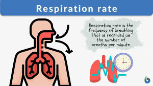 respiration rate definition and