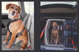 Crash Tested Dog Seat Belts And Crates