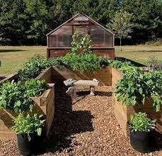 How To Start A Kitchen Garden The